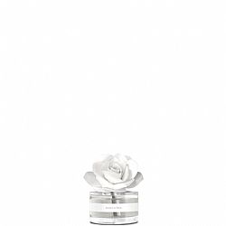 Αρωμα 50ml για 15μ2, Aqua & Sale, με ξύλινο διαχητή λευκό τριαντάφυλλο, MUHA.L11